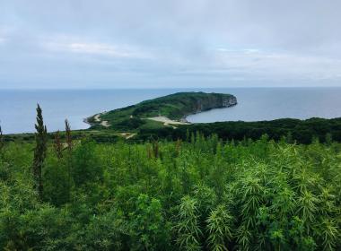 Приморье: Владивосток, мыс Тобизина и морская прогулка — фото 2