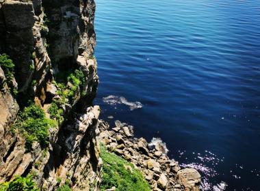 Экскурсия на Сахалин: тюлени, птицы и красота Охотского моря! — фото 4