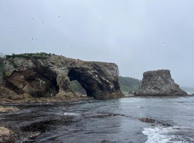 Мыс Великан на Сахалине: уникальная экскурсия к каменным аркам — фото 4
