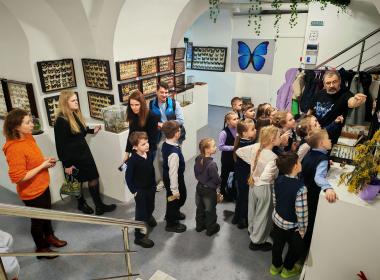 Бабочки в рамке: мастер-класс и экскурсия по выставке — фото 3