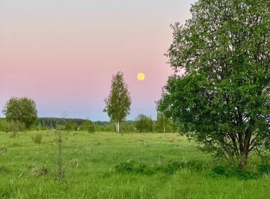 Незабываемые выходные в деревне: отдых в аутентичной деревне во Владимирской области — фото 3