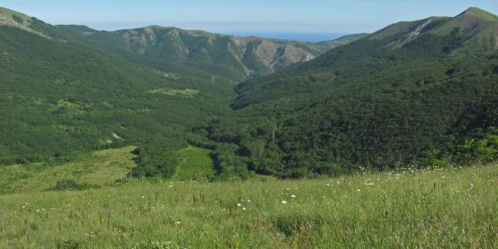 По старой орталанской дороге