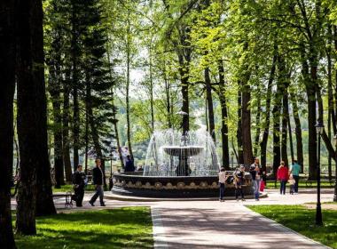 Секреты трав: практики на природе — фото 15