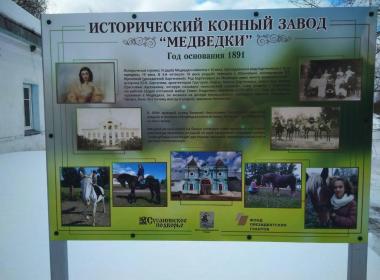 Экскурсия на исторический конный завод «Медведки» — фото 4