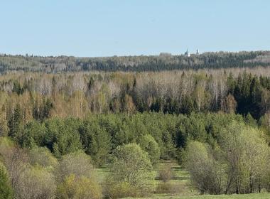 Великорецкое в седле — фото 4