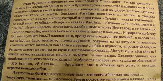 Мой Калининград