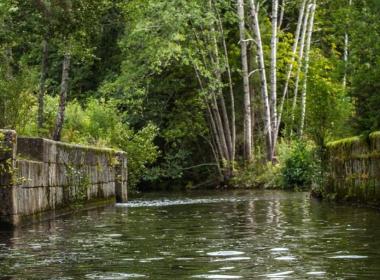 Увлекательная водная экскурсия в парк Монрепо на комфортном катере — фото 2