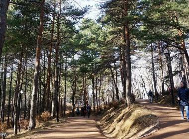 Треккинг по паркам и экотропам кавказских Минеральных Вод — фото 3