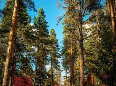 Экскурсия по оздоровительному комплексу «Танай» — фото 9