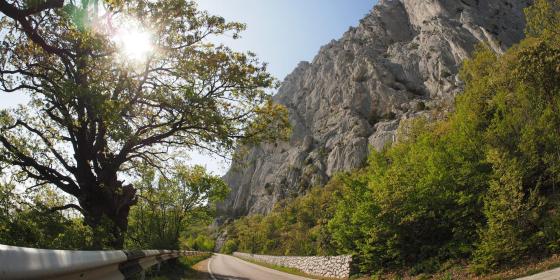 Южный берег Крыма. Старая ялтинская (Воронцовская) дорога