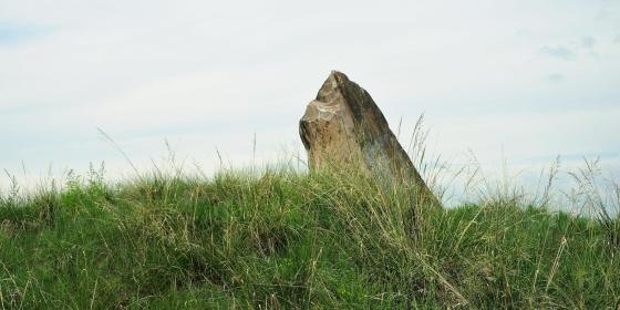 Памятный камень на месте Ирменского сражения. Путешествия по Новосибирской области