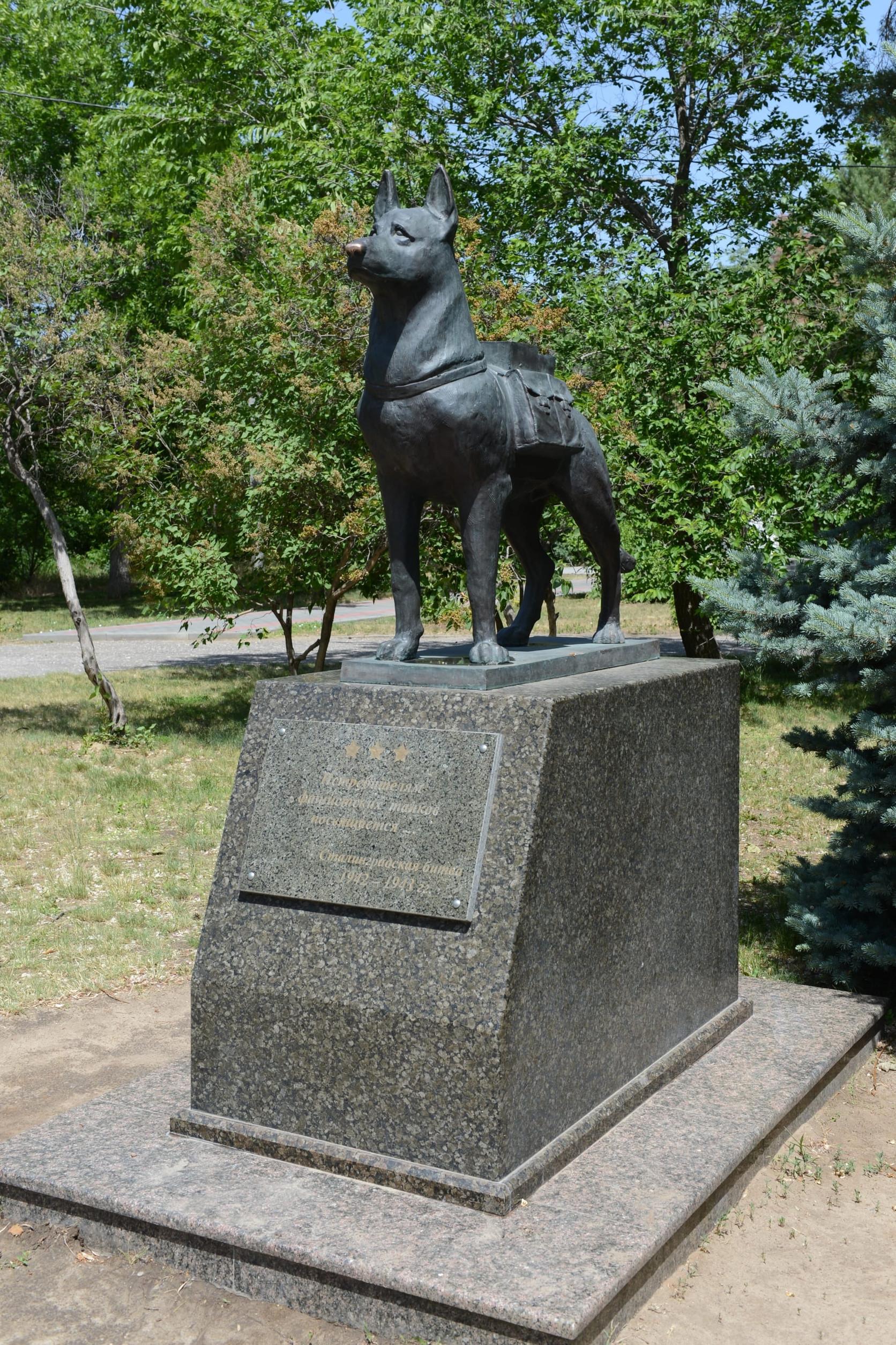 49978735_m