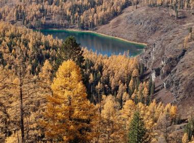"Золото Алтая": путешествие в царство осенних красок — фото 5