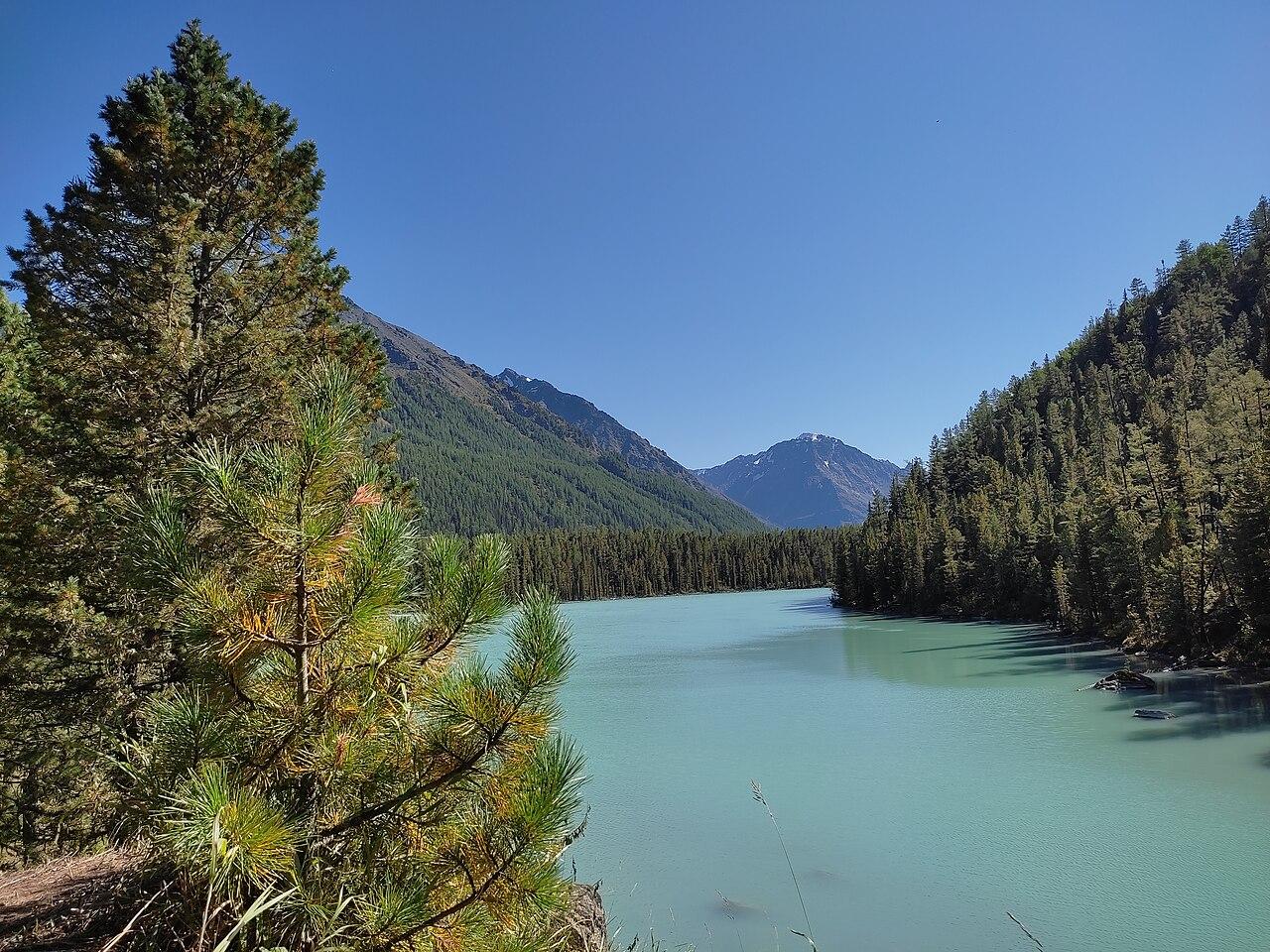Nizhnee_Kucherlinskoe_lake Nizhnee_Kucherlinskoe_lake