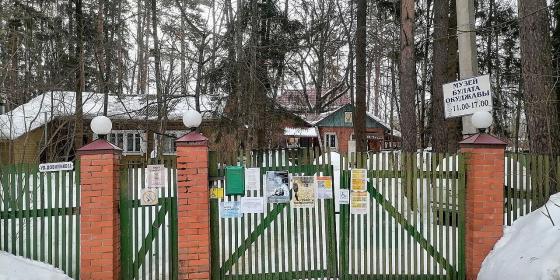 Один день в Переделкине: к кому сходить в гости