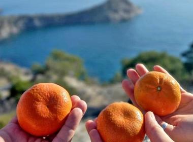 Новый Год в Крыму. Судак и Новый Свет — фото 2