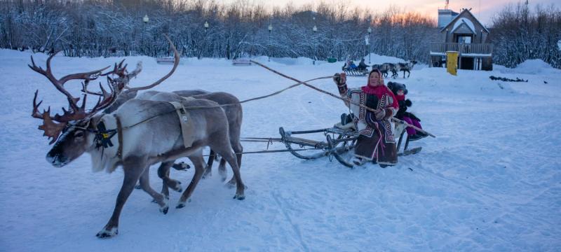 «Праздник Севера. Гонки на оленьих упряжках» в г. Воркуте