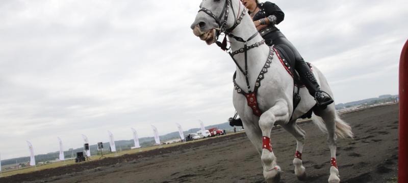 Конно-спортивные соревнования в деревне Кабаново — фото 1