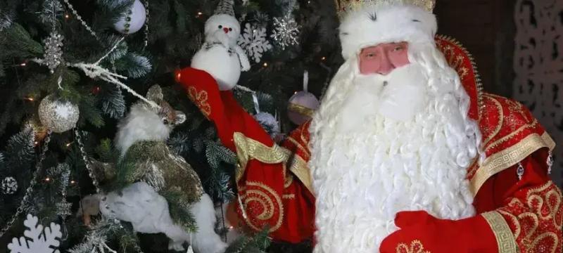 Гость с Северного полюса — фото 1