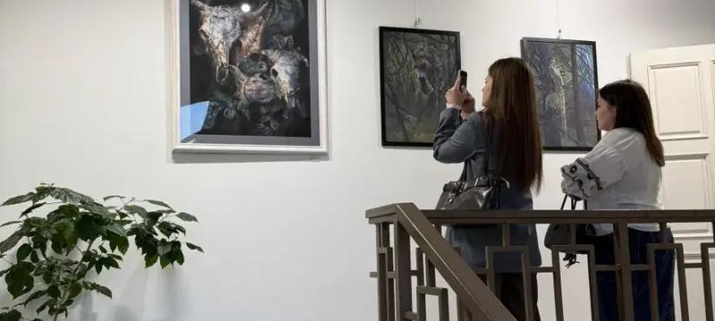 «В поиске сюжета» — фото 1