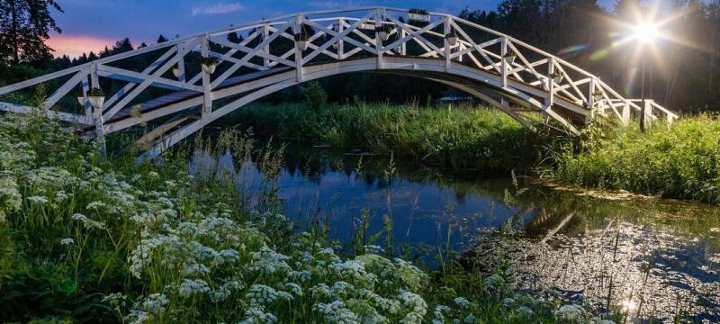День усадебного парка в усадьбе Спасское-Куркино. Открытие летнего сезона — фото 6