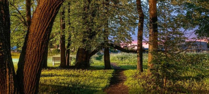 День усадебного парка в усадьбе Спасское-Куркино. Открытие летнего сезона — фото 8