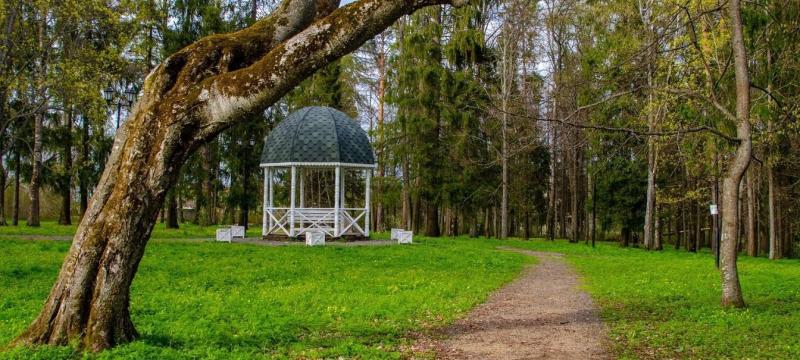 День усадебного парка в усадьбе Спасское-Куркино. Открытие летнего сезона — фото 10