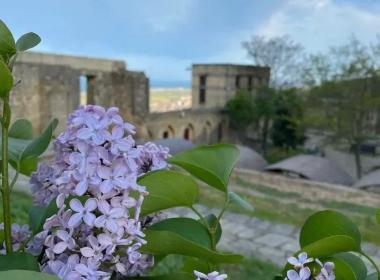 Яркое погружение в Дагестан: 5 дней лезгинки, кухни, гор и моря — фото 9