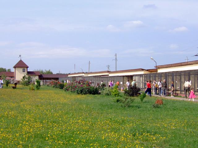 Park_Vorobi Park_Vorobi