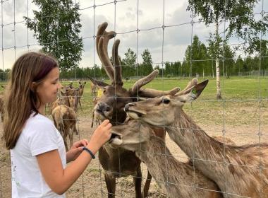 В Городец и к оленям Нижегородского края — фото 11