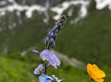 Тур на квадроциклах к Софийским водопадам. Архыз — фото 10