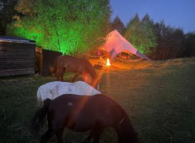 Целебный пар — фото 7