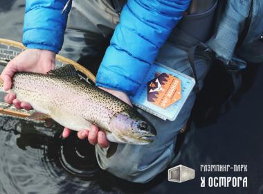 Расслабление и уют: побег на Коняевское водохранилище — фото 6