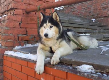 100 лет истории Нижегородской ярмарки. Карман России и всероссийский разгуляй. — фото 4