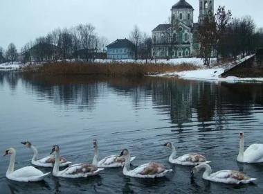 Торопец - город-музей под открытым небом — фото 5