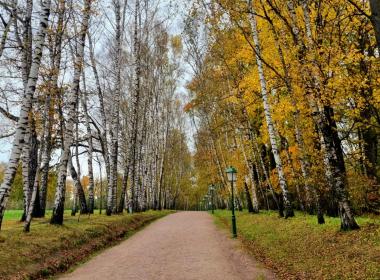 По дорогам Льва Толстого — фото 3