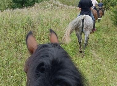 Конный поход «В лесные дебри под древний Галич» — фото 2