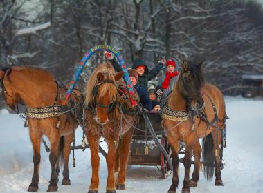 Настоящая Россия: деревенский отдых, традиции и кони — фото 21