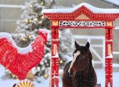 Настоящая Россия: деревенский отдых, традиции и кони — фото 22