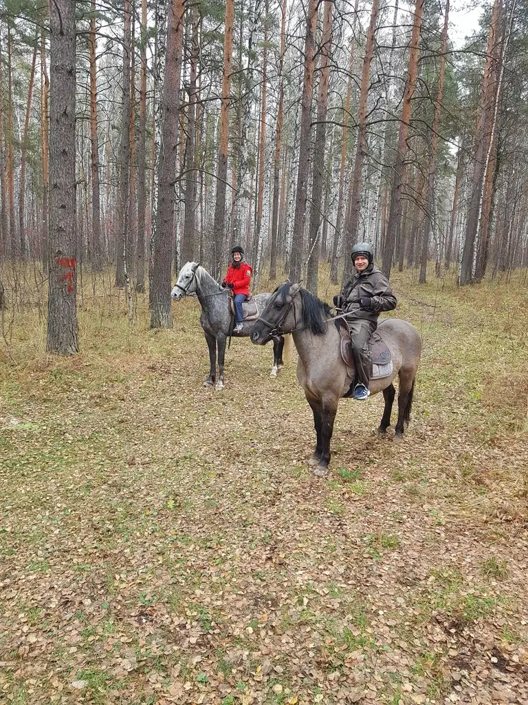 Фото из отзыва о туре «Конная прогулка по уральскому лесу: живописный маршрут и отдых на свежем воздухе»