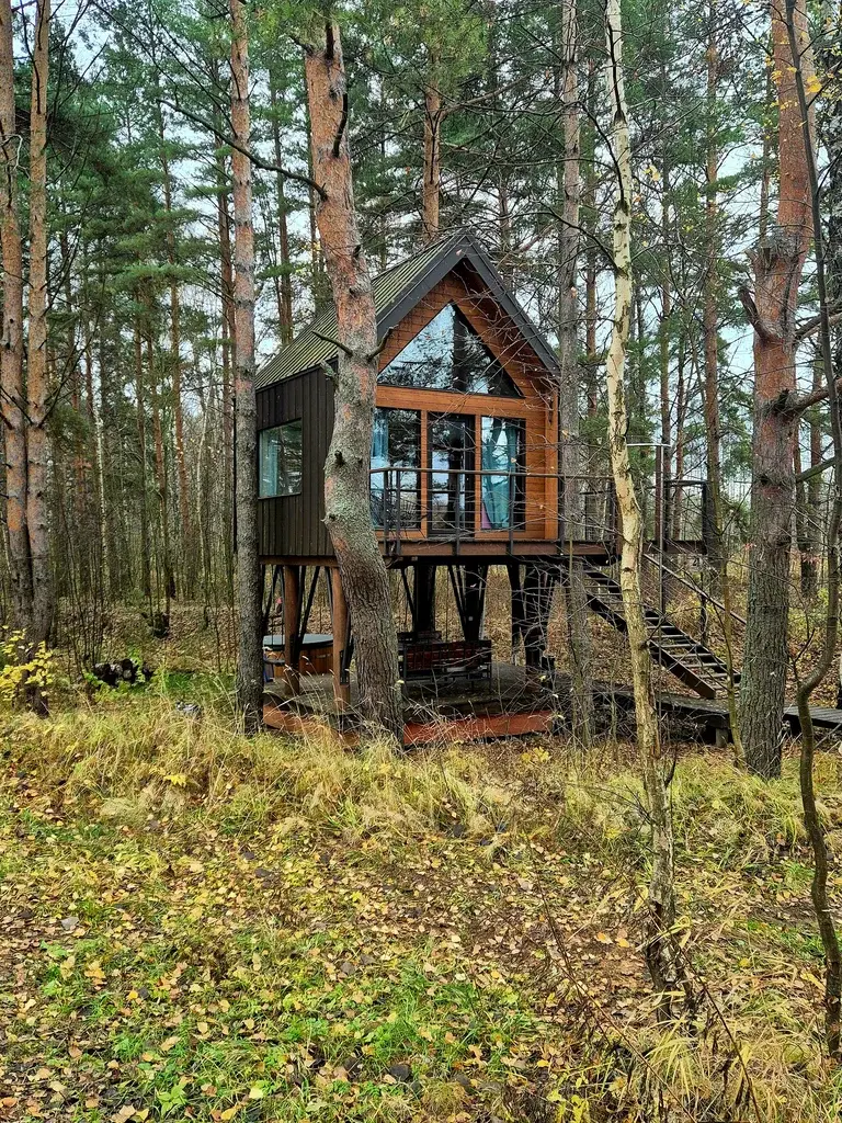 Фото из отзыва о туре «Домик на дереве: побег к Волге»