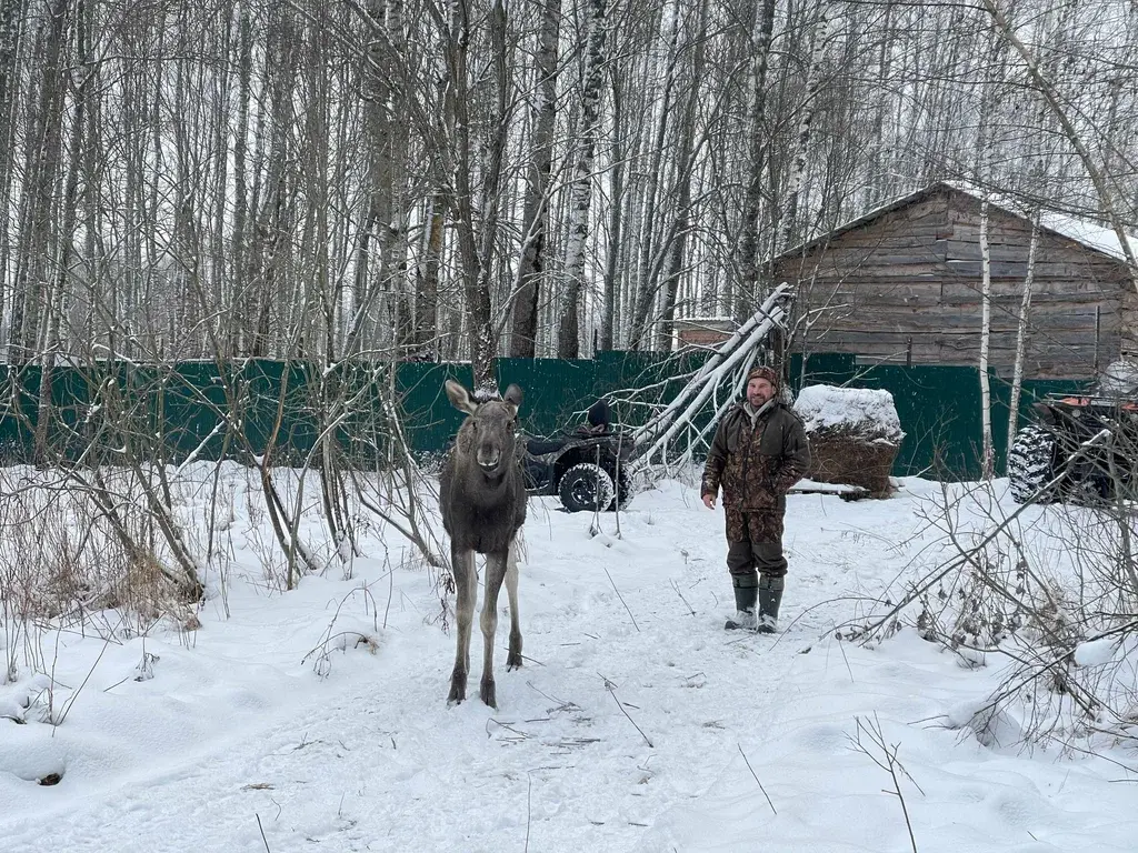 Фото из отзыва о туре «Квадротур на Волге: драйв, баня и горячий чан»